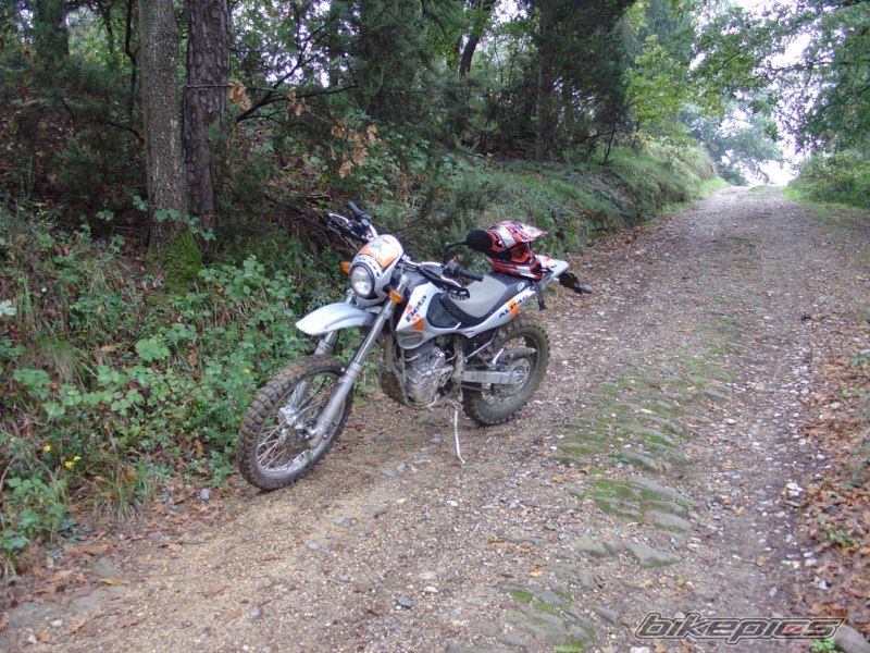 Photo 1972505