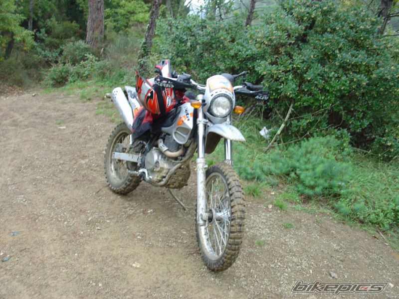 Photo 1972509