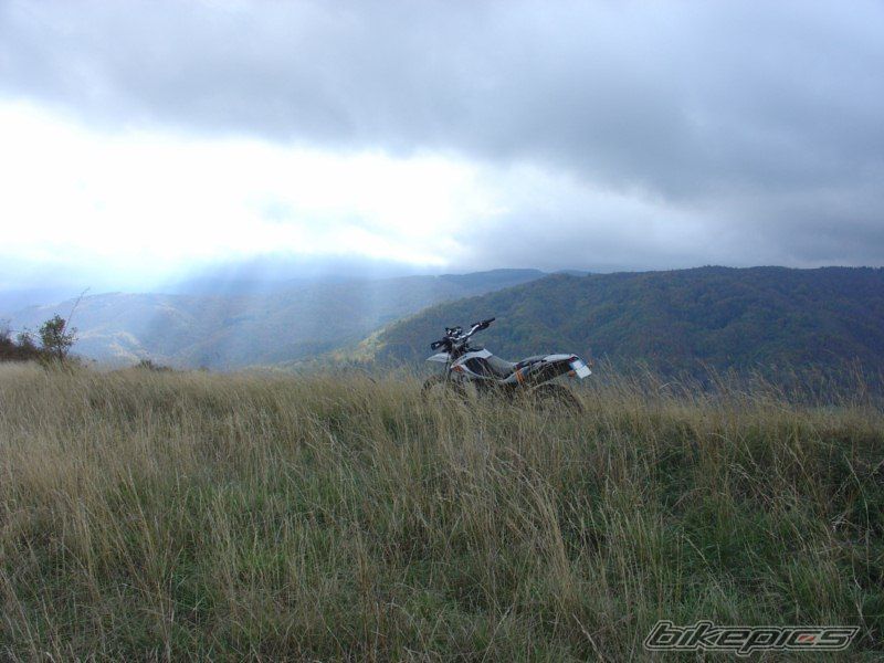 Photo 1972534
