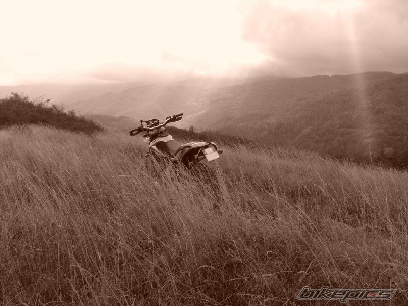 Photo 1972542