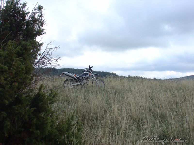 Photo 1972543