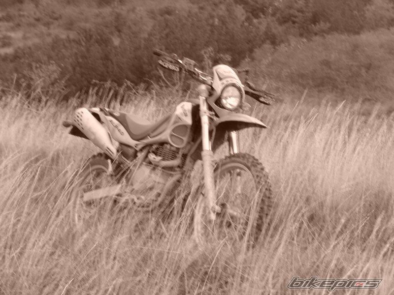 Photo 1972545