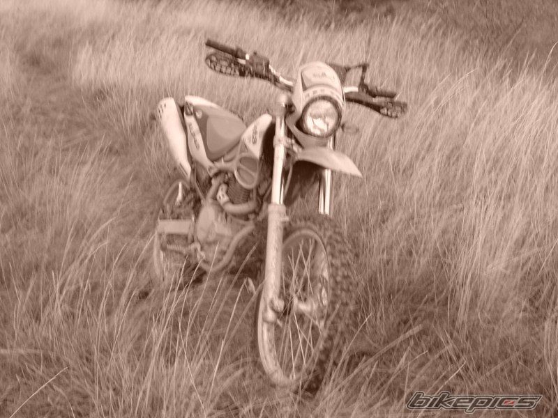 Photo 1972546