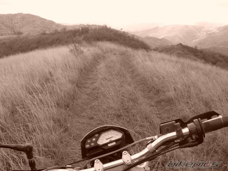 Photo 1972547