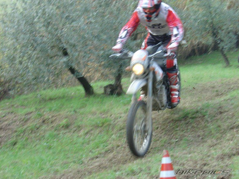 Alp 4.0