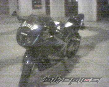 Photo 197261