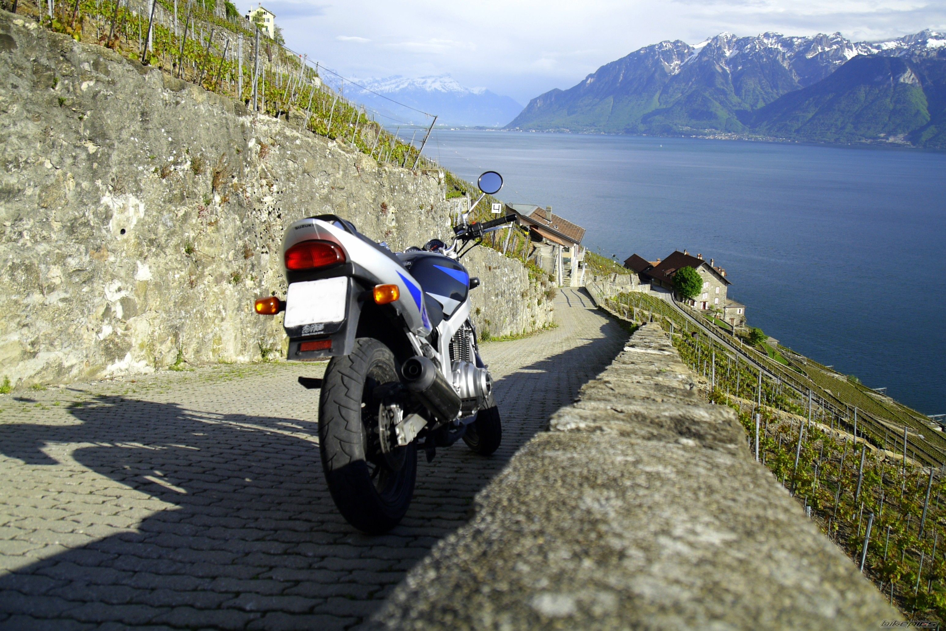 Bike Photo 1972662
