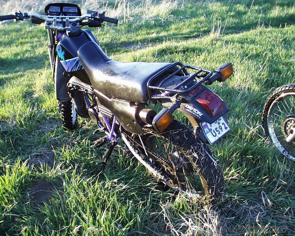 Photo 197275