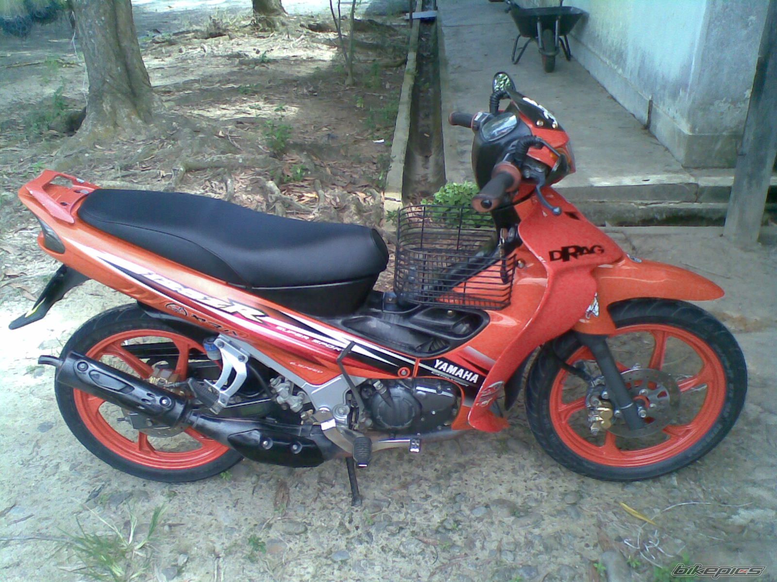 Photo 1972766