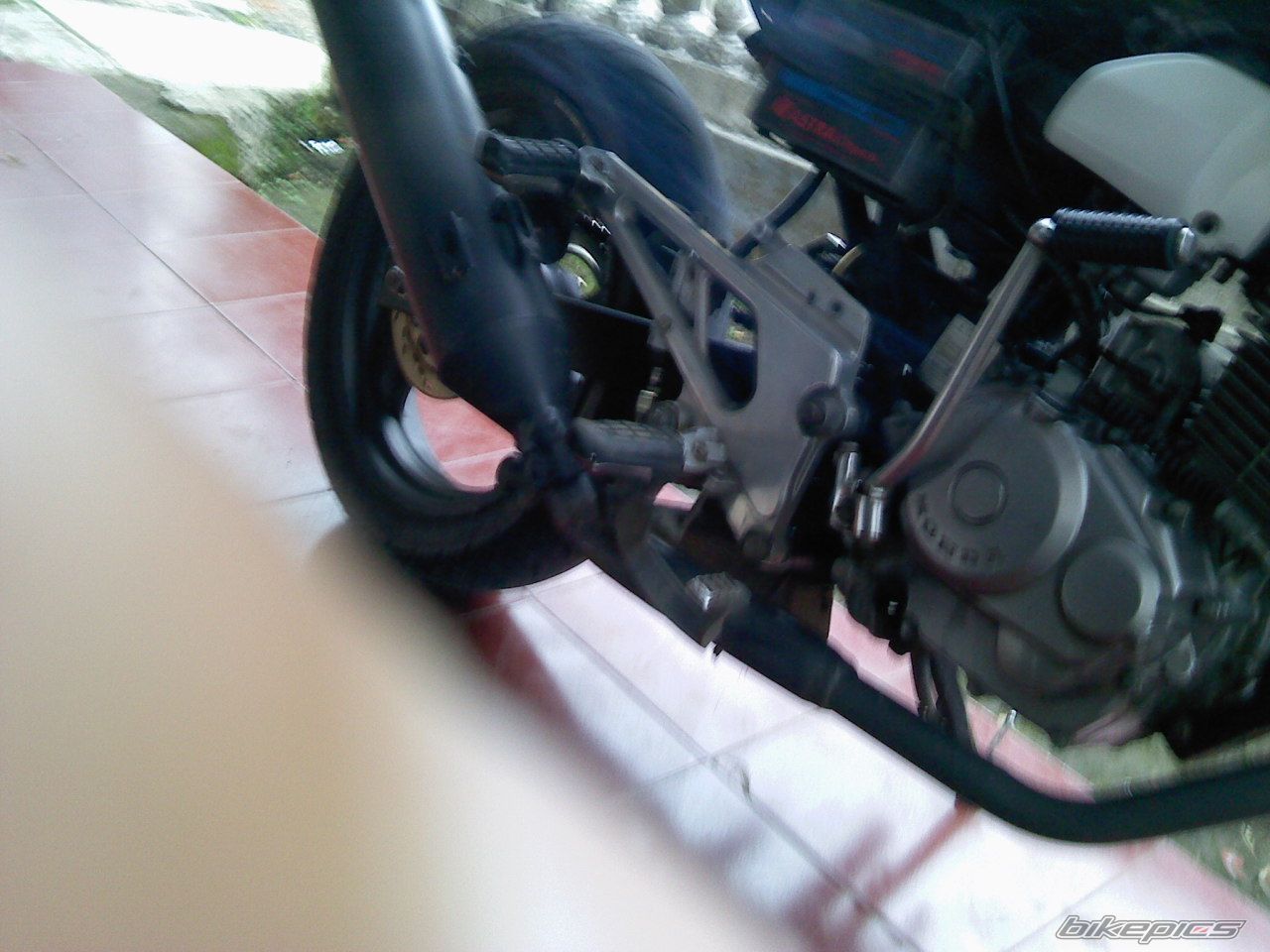 Photo 1972911