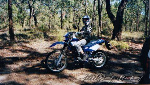 Photo 197294