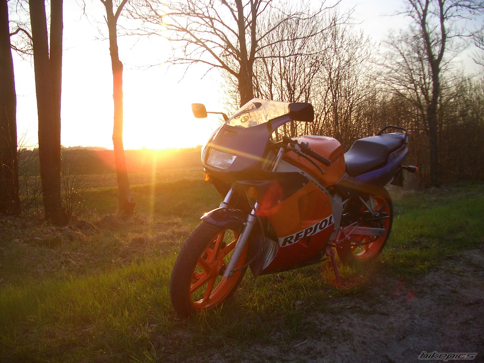 Photo 1973026