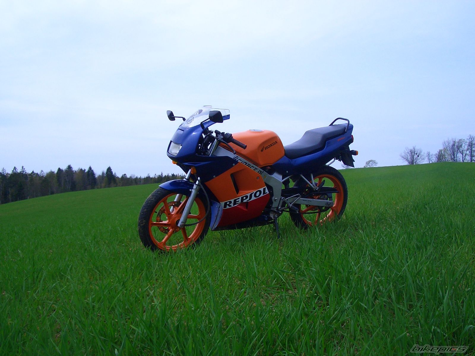 Photo 1973040
