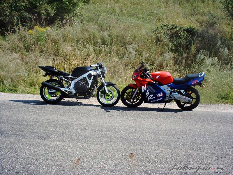 Photo 197314