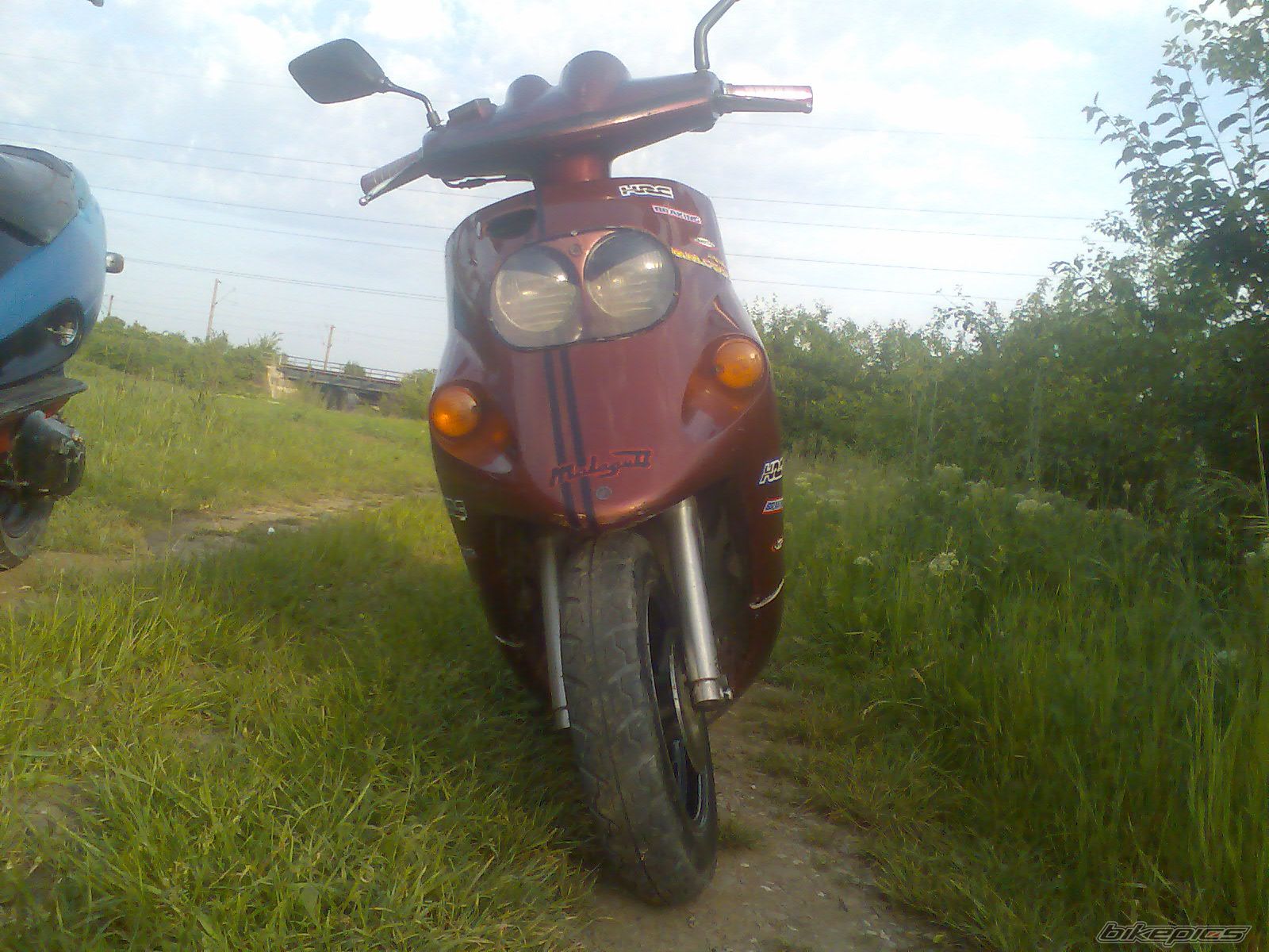 Photo 1973162