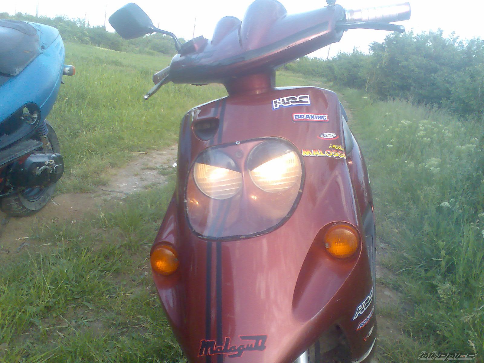 Photo 1973173