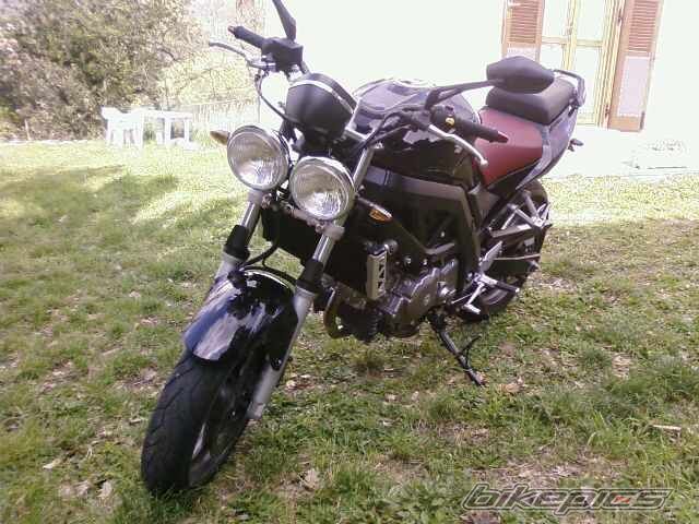 Photo 1973207