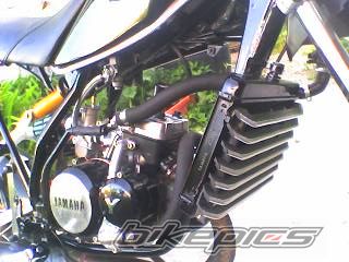 Photo 1973293