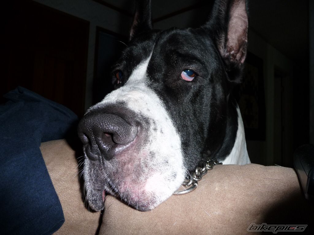 Photo 1973296