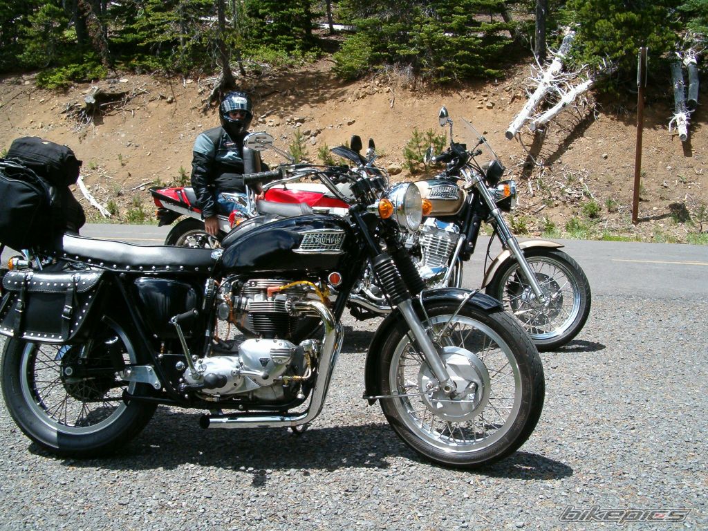 Bike Photo 1973310