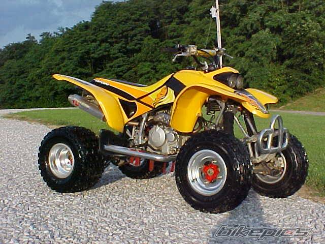 Photo 197338