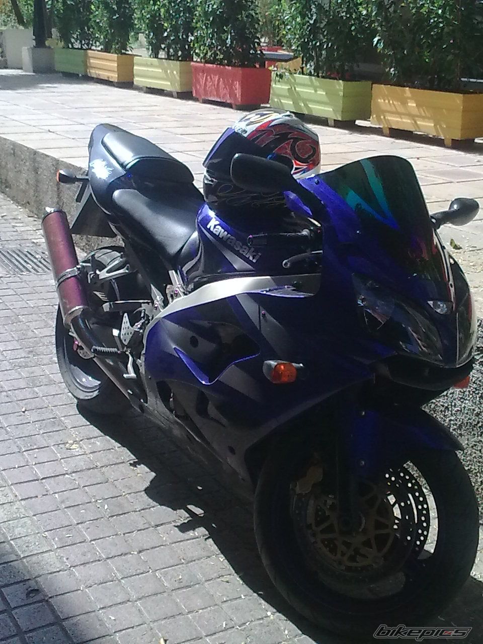 Photo 1973393
