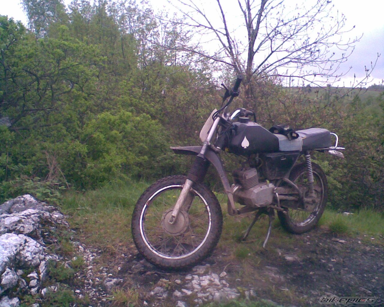 Photo 1973402