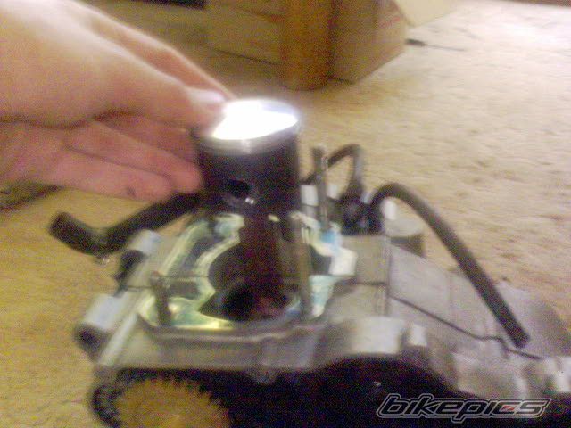 Photo 1973484