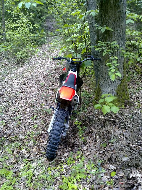 Photo 1973509