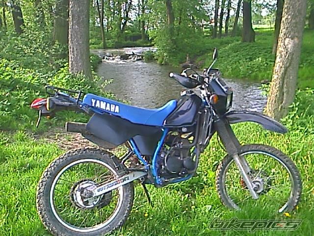 Photo 1973629