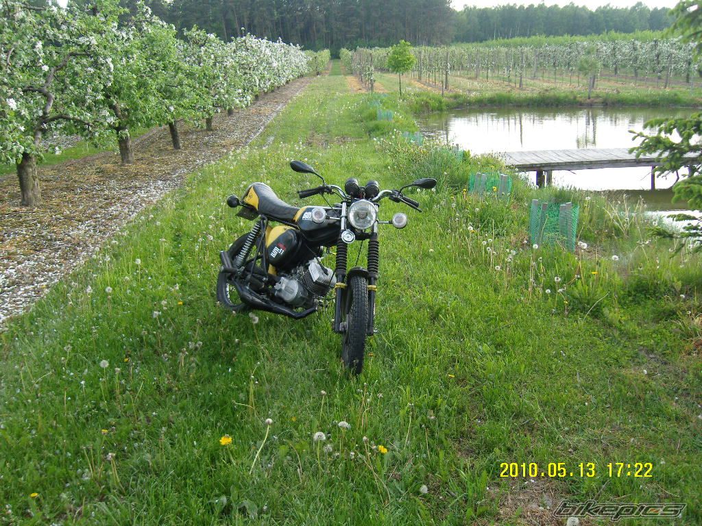 Photo 1973665