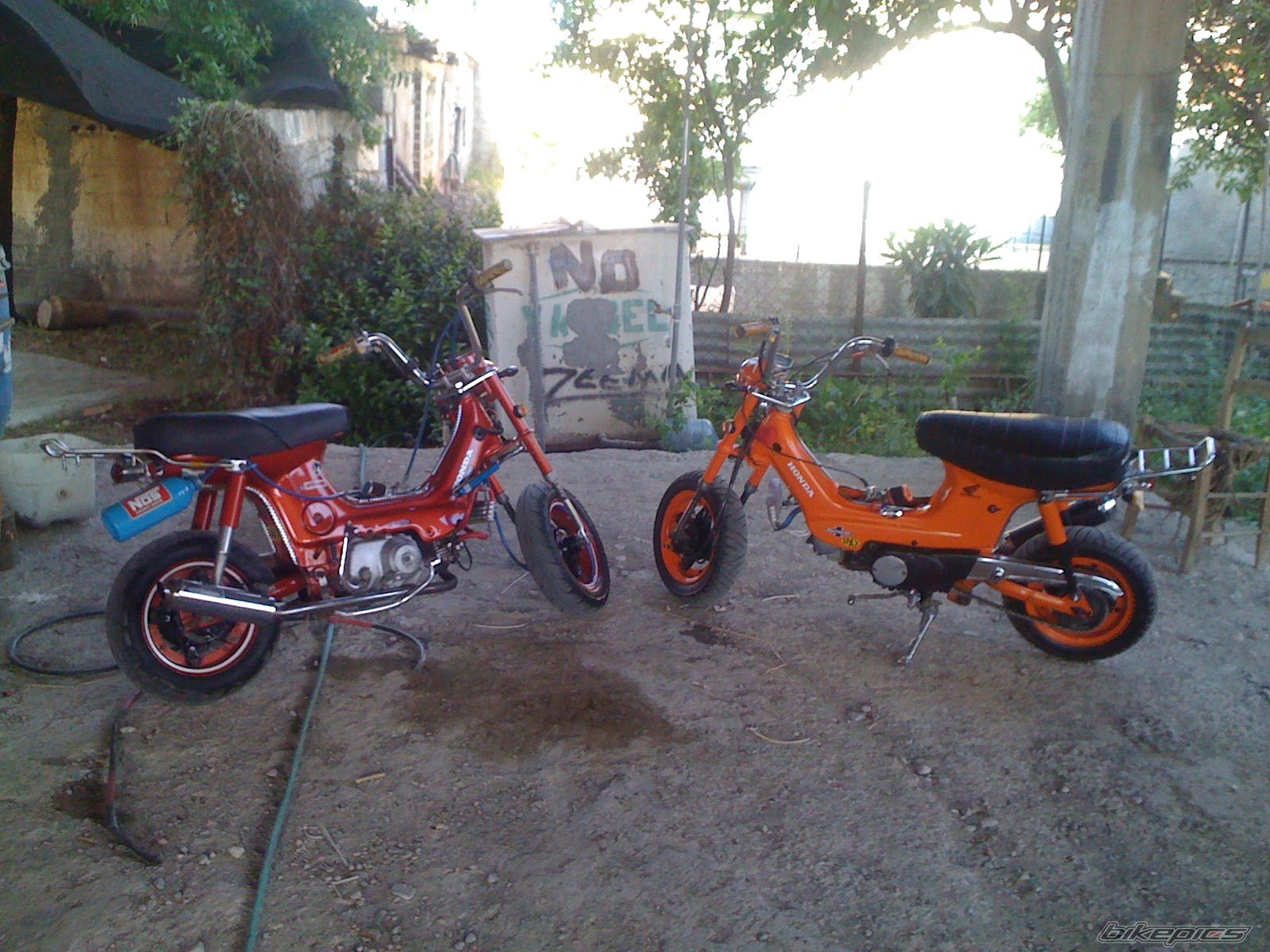Photo 1973691