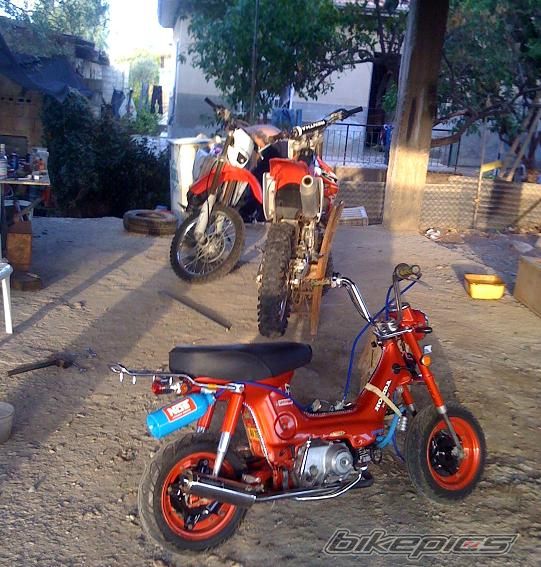 Photo 1973699
