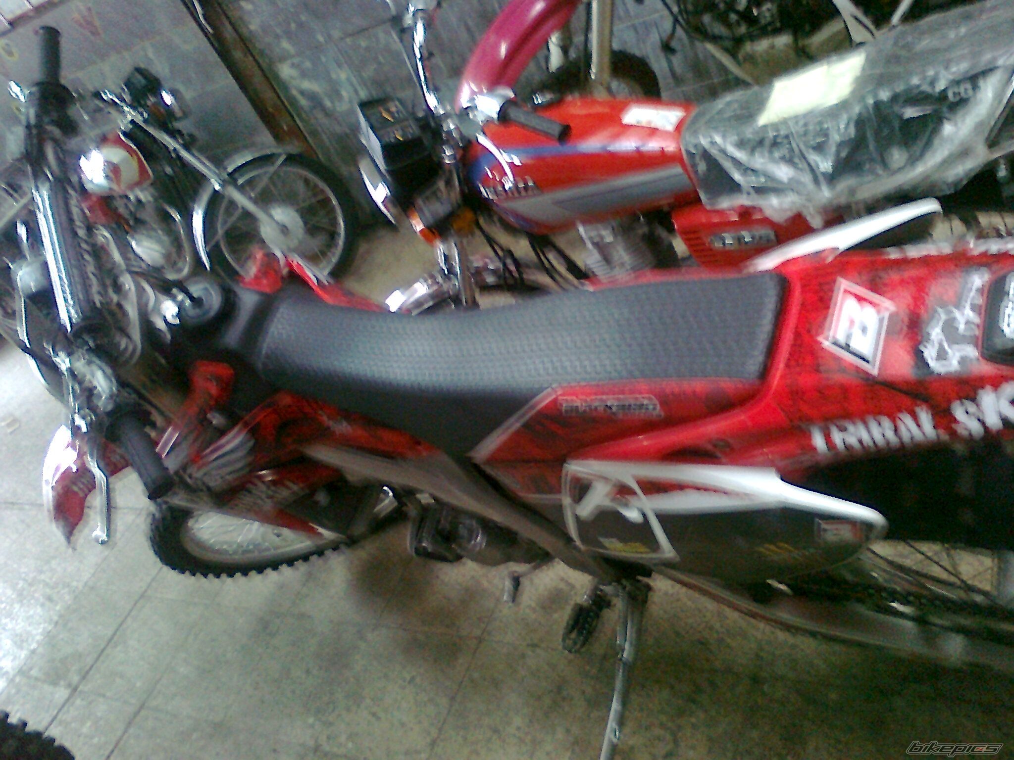 Photo 1973753
