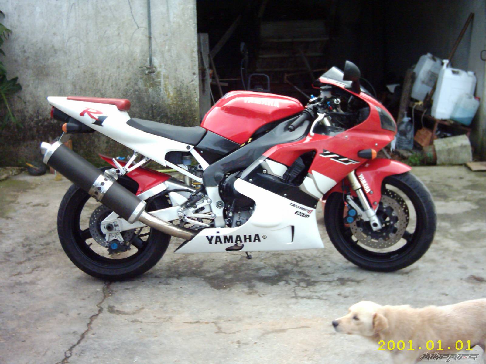 Bike Photo 197379