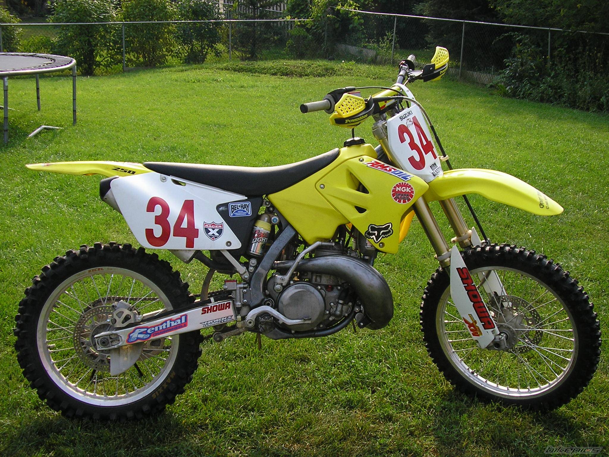 Photo 197381