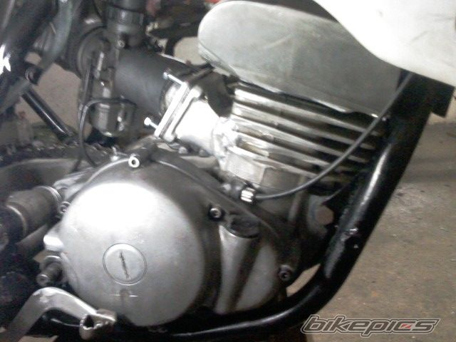 Photo 1973830