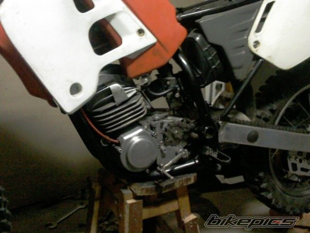 Photo 1973835
