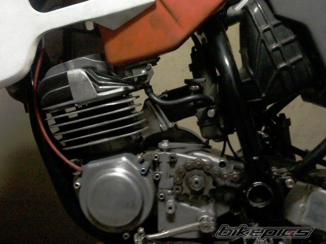 Photo 1973837