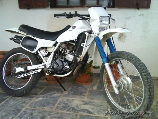 Photo 1973950