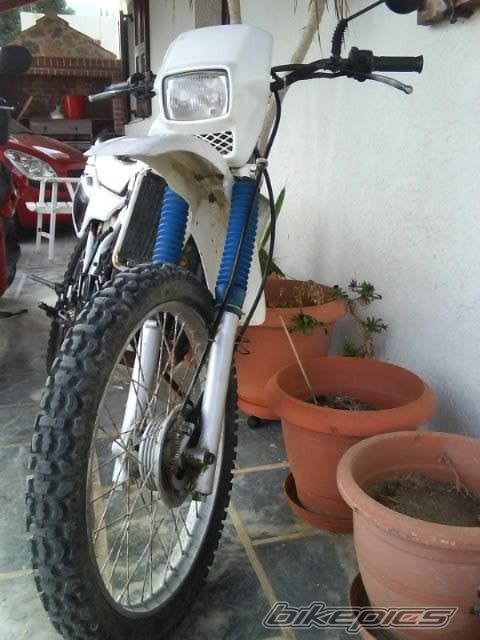 Photo 1973952