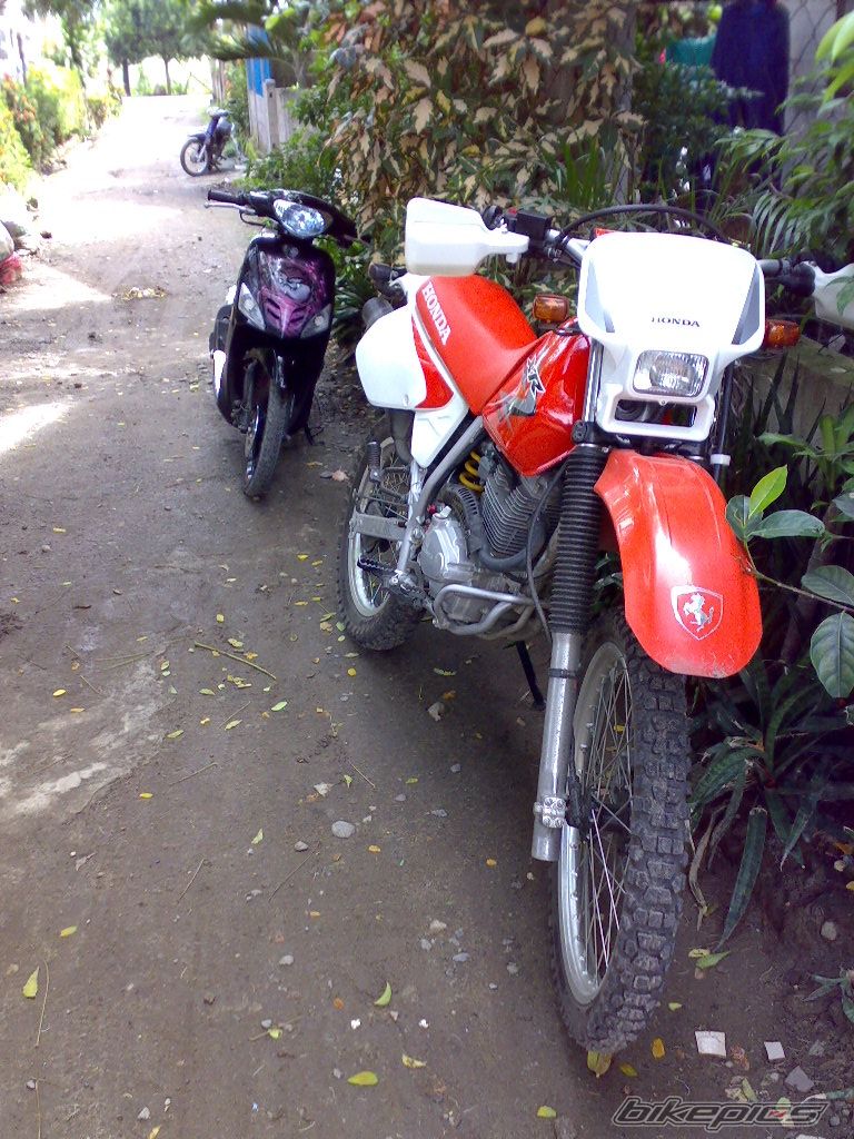 Photo 1974189