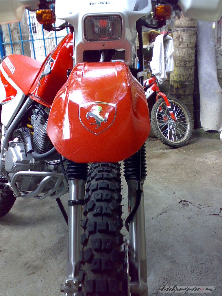 Photo 1974190