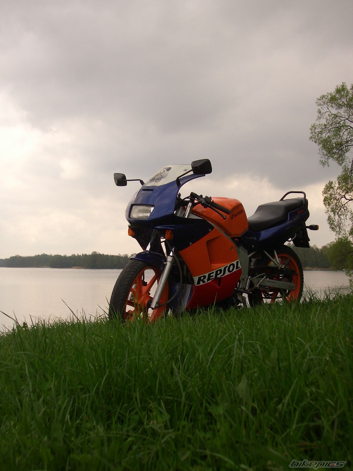 Photo 1974307