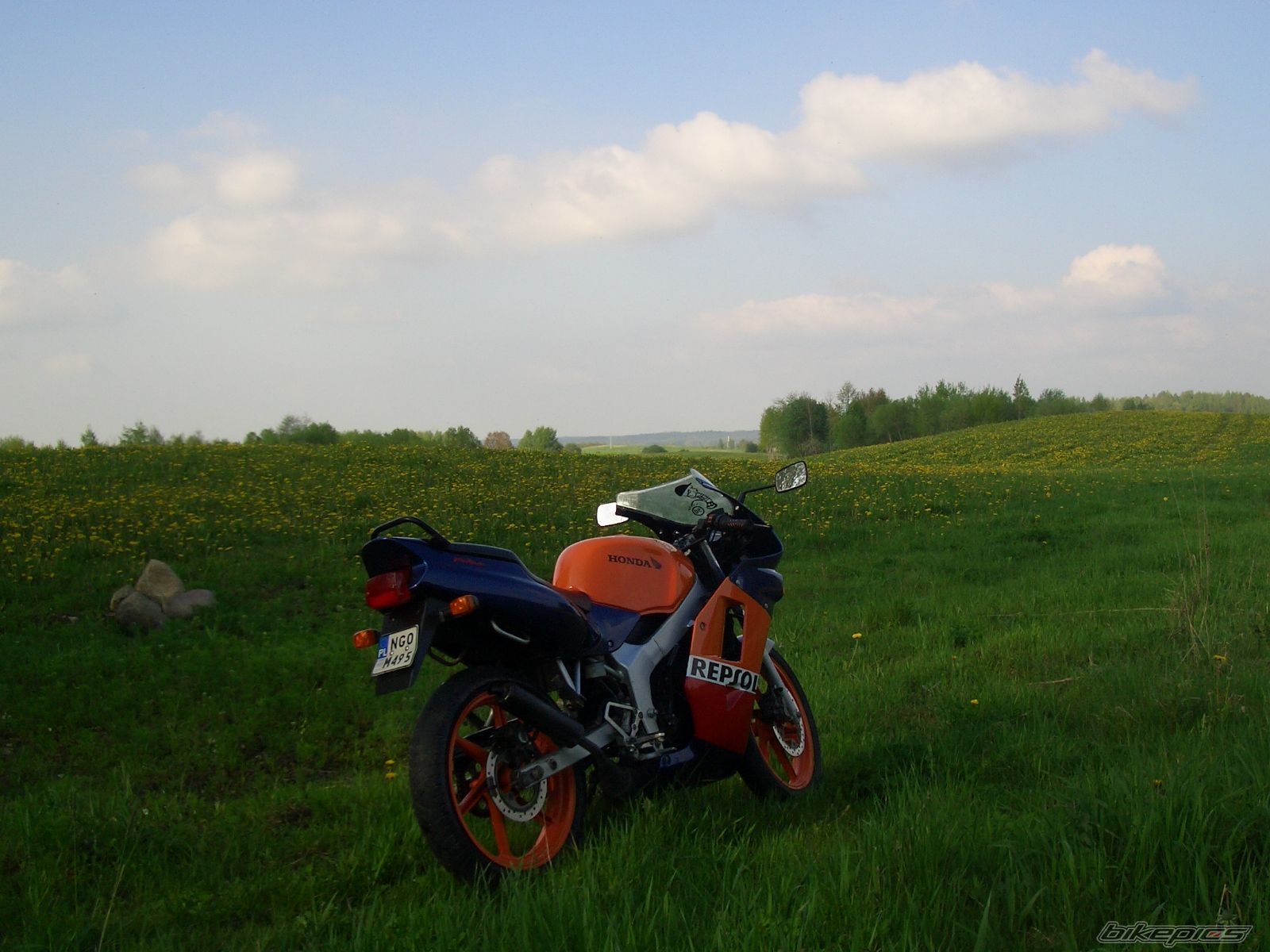 Photo 1974316
