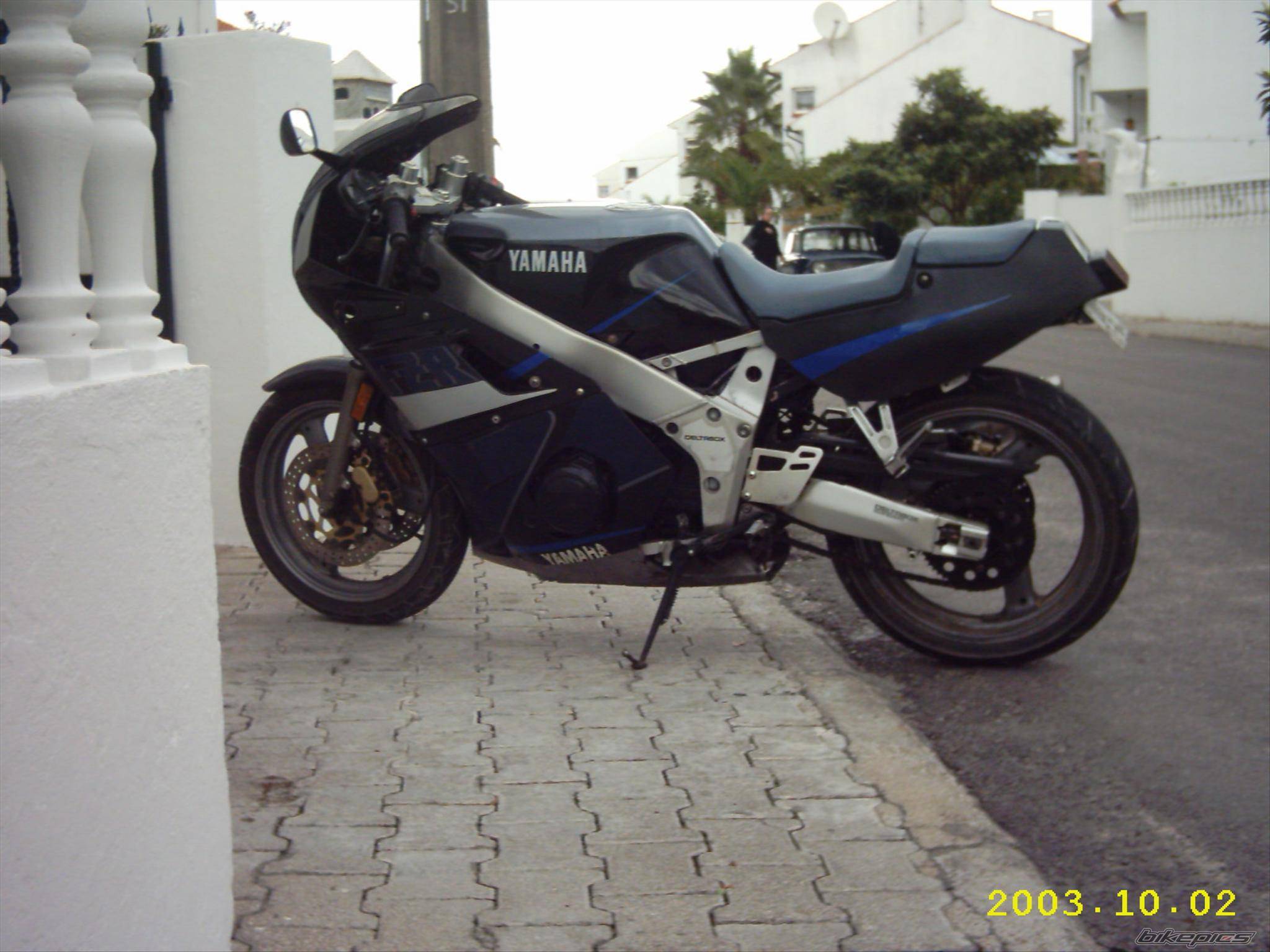 Photo 197455