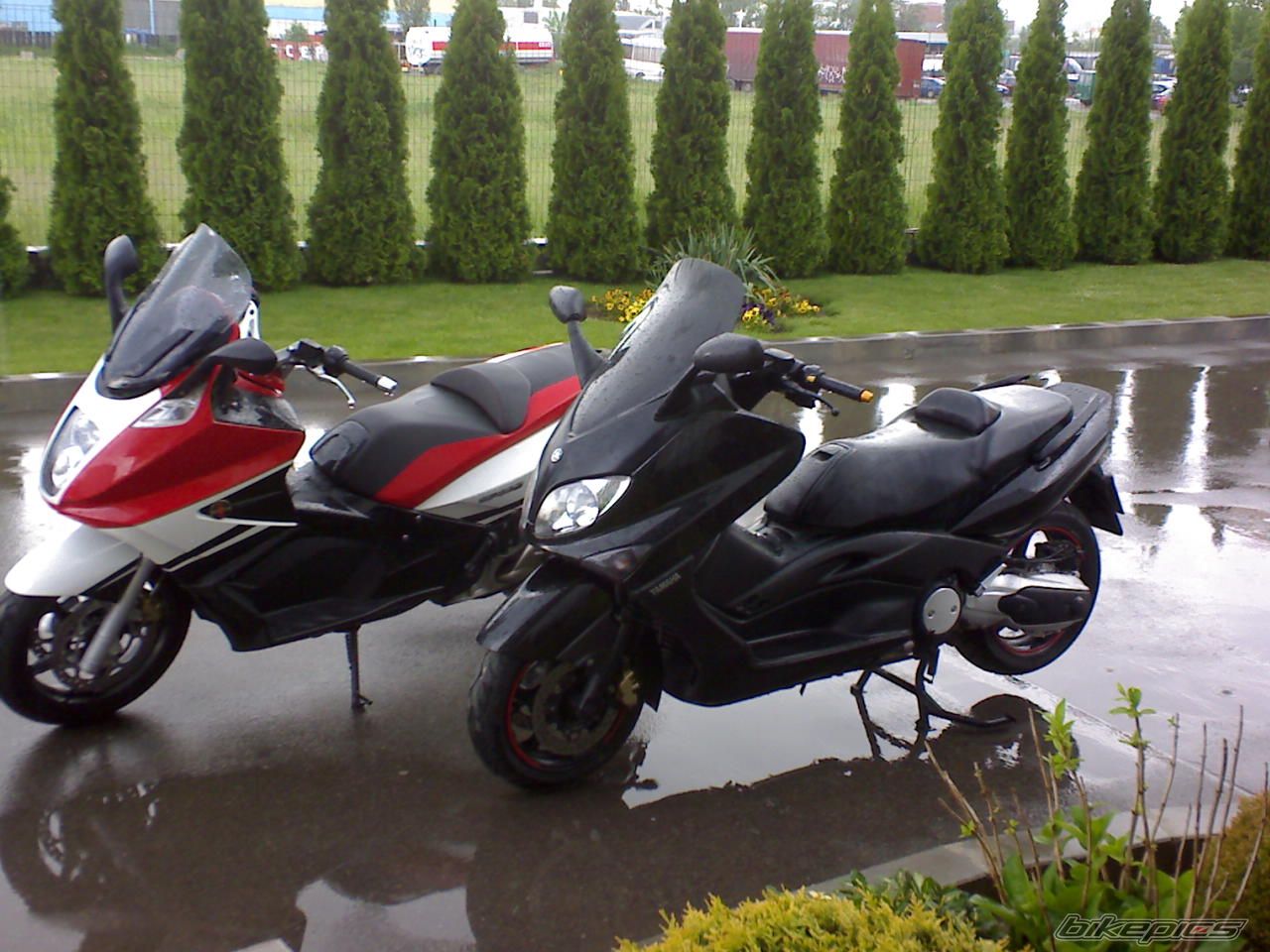Bike Photo 1974653