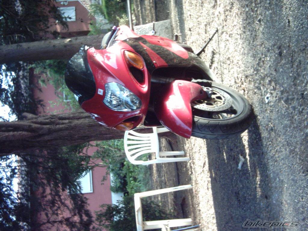 Photo 197471