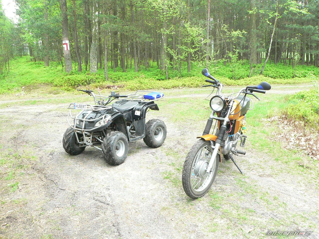 Photo 1974721