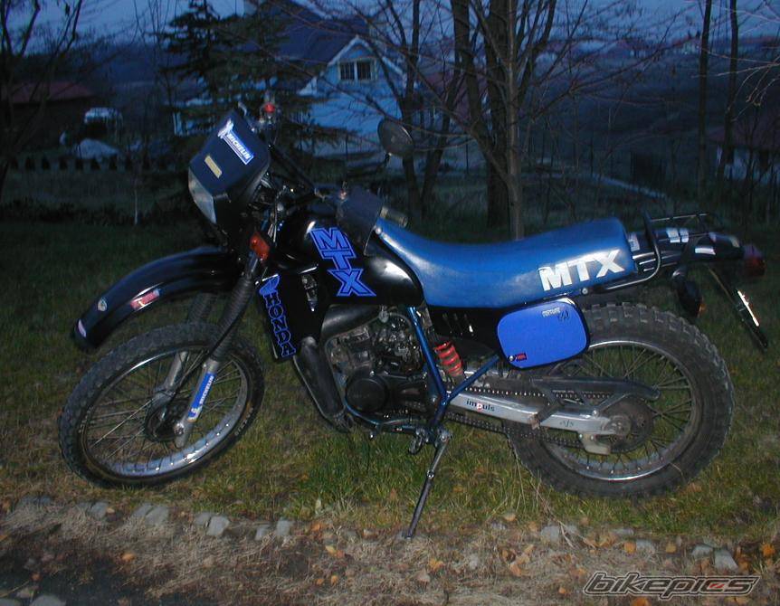 Photo 197486
